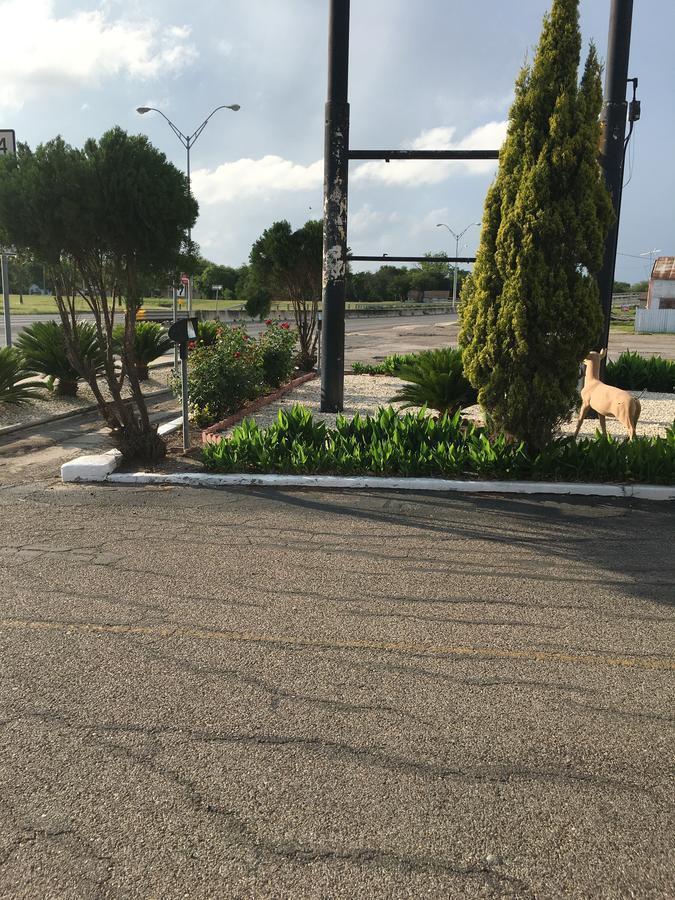 Alice Motor Inn Kültér fotó