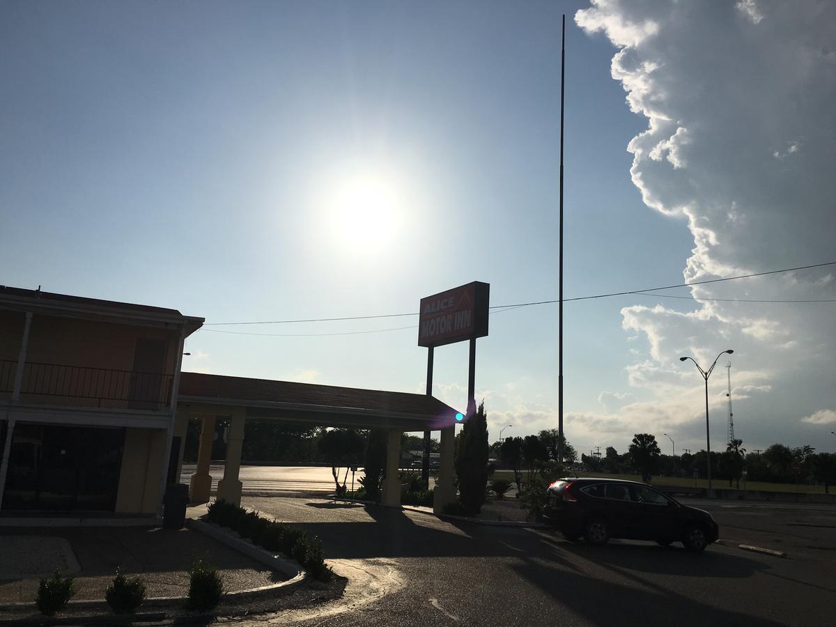 Alice Motor Inn Kültér fotó