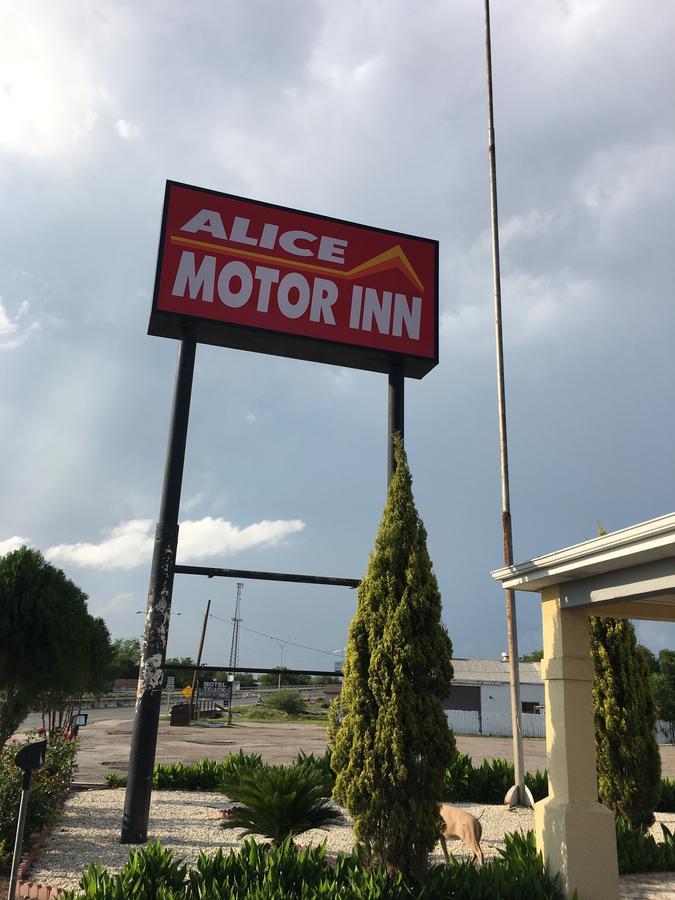 Alice Motor Inn Kültér fotó